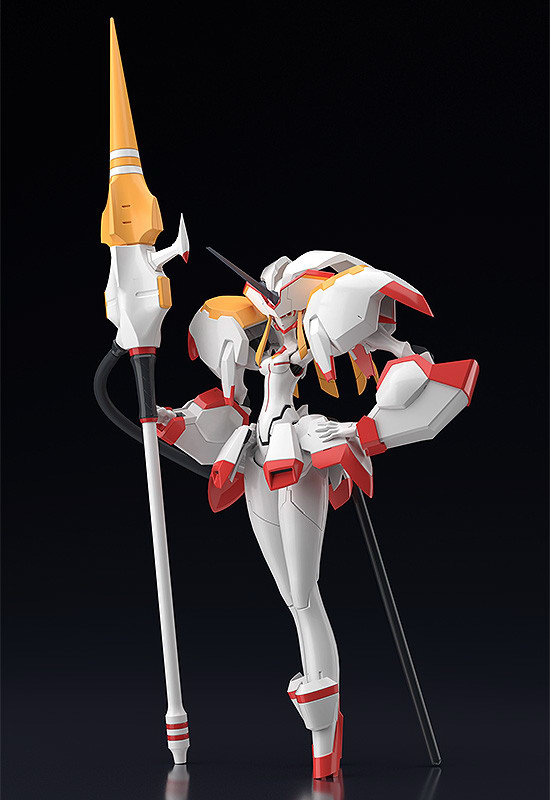 strelitzia moderoid